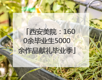西安美院：1600余毕业生5000余作品献礼毕业季